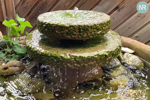 How to Keep Mosquitoes from Laying Eggs in Outdoor Fountains