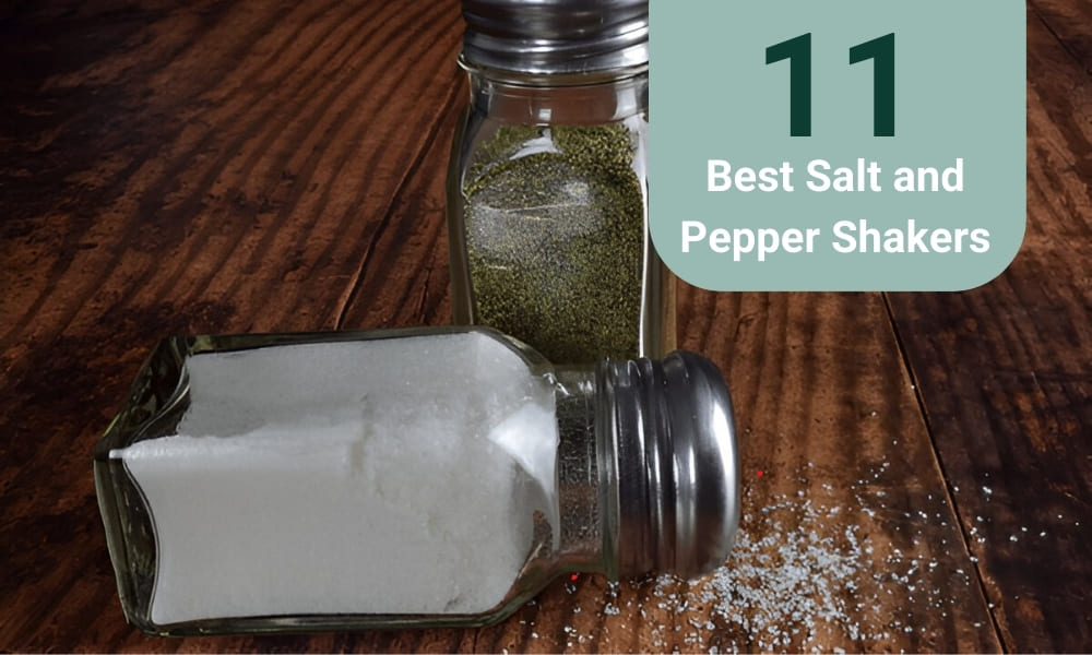 Best Salt and Pepper Shakers