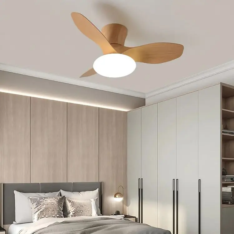 Bedroom Ceiling fan with light fixture