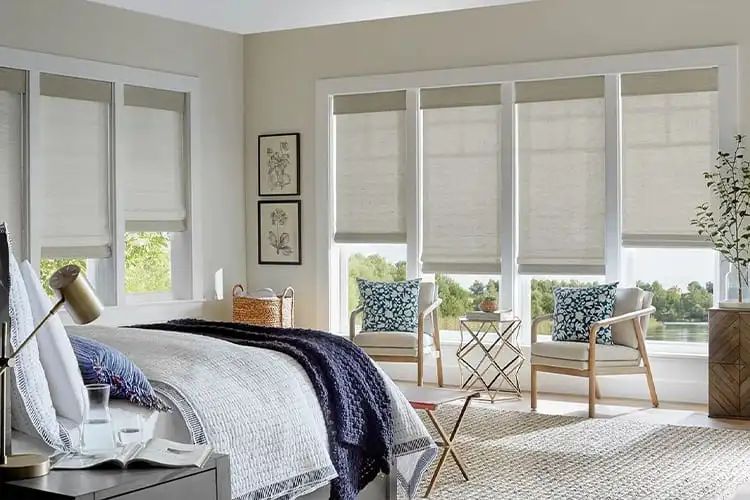 Bedroom Window Blinds or Shades