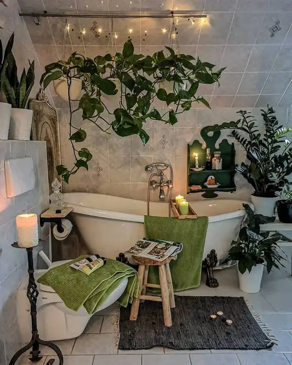 Bathroom Plant