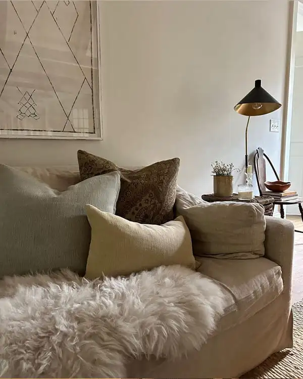 Living Room Decorative Pillows