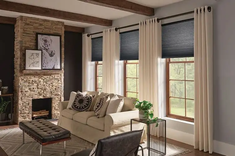 Living Room Window Blinds or Shades