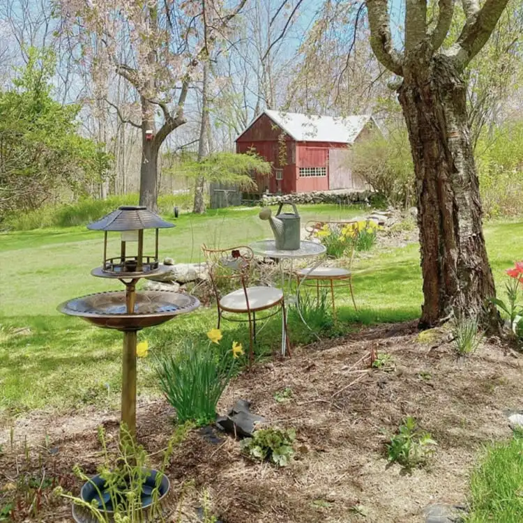 Bird Feeders or Bird Baths