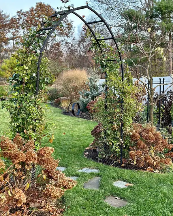 Garden Archway or Pergola
