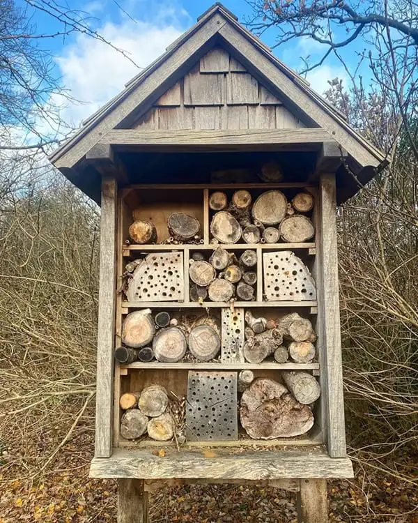 Garden Bee Hotels