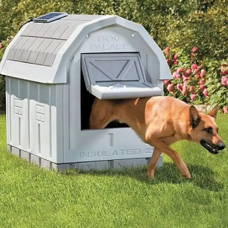 Outdoor Dog House or Pet Shelter
