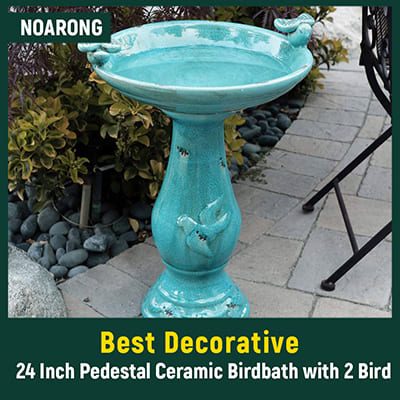 Best Decorative Bird Baths