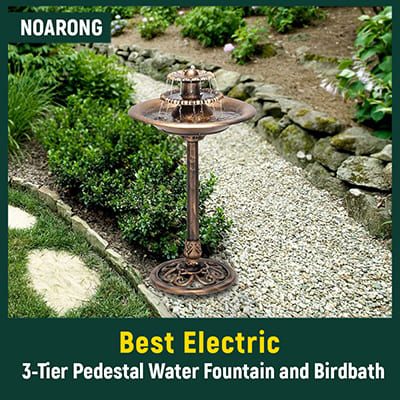 Best Hummingbird Fountain