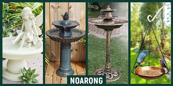 Best Bird Baths