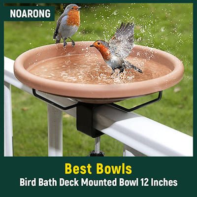 Cheap Bird Baths Bowls