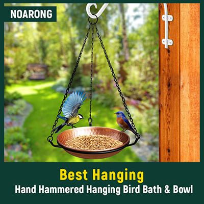 Best Hanging Bird Baths