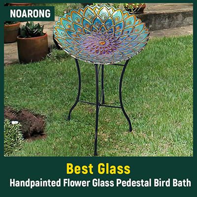 Best Hanging Bird Baths