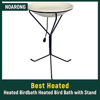 Best Rated Heated Bird Bath
