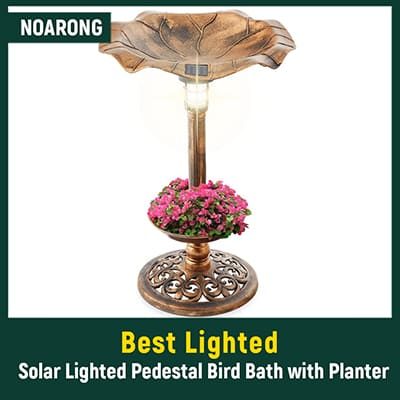 Best Lighted Solar Bird Baths